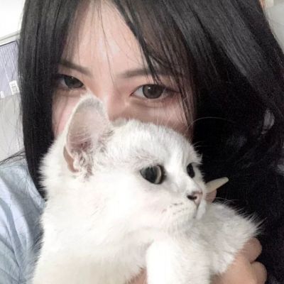星河纪元破解版下载